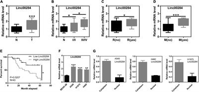 Upregulation of Linc00284 Promotes <mark class="highlighted">Lung Cancer Progression</mark> by Regulating the miR-205-3p/c-Met Axis